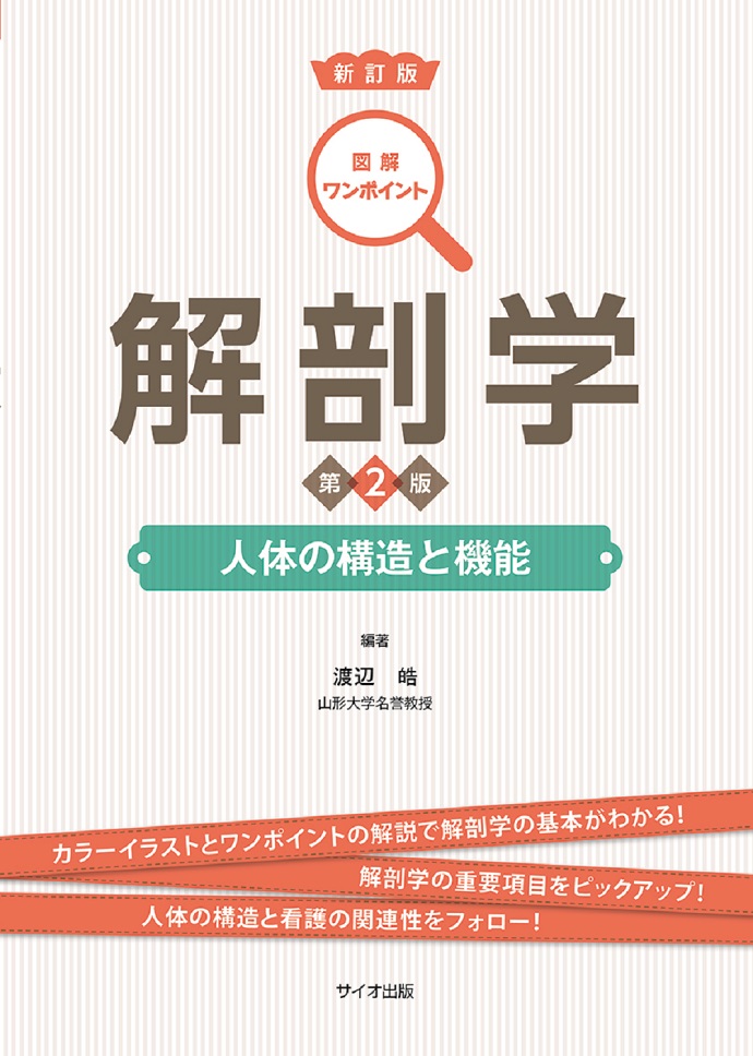 図解ワンポイント　解剖学　第2版